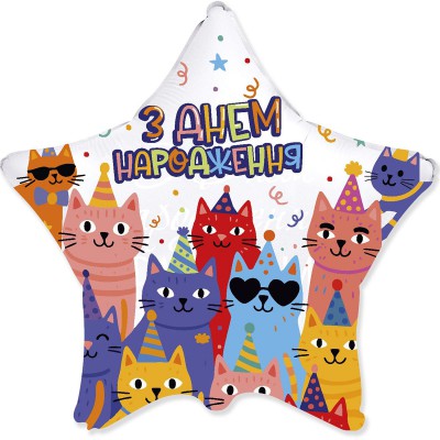 Зірка З Днем народження кошенята на святі